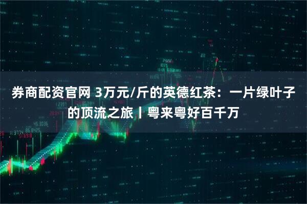 券商配资官网 3万元/斤的英德红茶：一片绿叶子的顶流之旅丨粤来粤好百千万